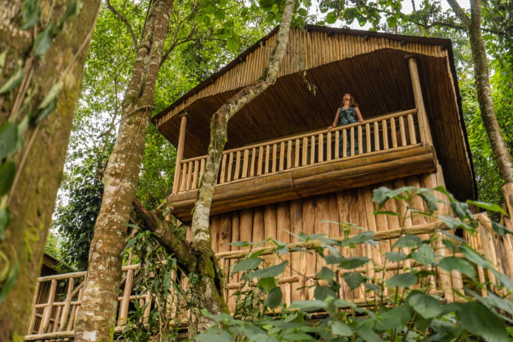 Le Buhoma Lodge, au cœur de la forêt impénétrable en Ouganda