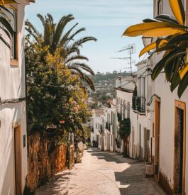 Lagos Portugal, une échappée pittoresque en Algarve