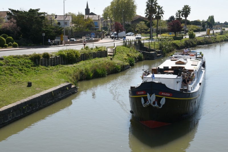 Péniche - Canal du Midi